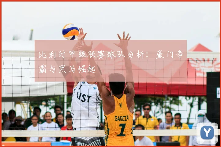 比利时甲级联赛球队分析：豪门争霸与黑马崛起